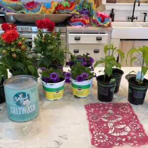 DIY Paint Can Planter Waste Not Wednesday