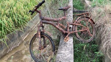 Restoration Old Rusty Kids Bike | Tear down Children Bicycle P1