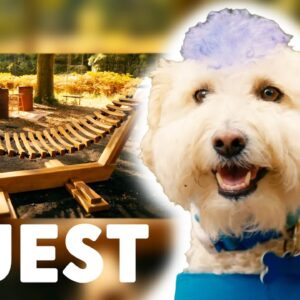 Therapy Dog Gets His Own Wooden Hammock! | Kings Of The Wood