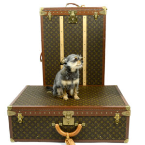 travel in style with louis vuitton